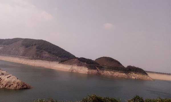 黑麋峰峰頂 綠樹蔥蔥，空氣都是甜的